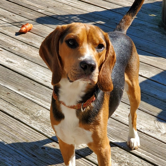 Meet your Posher, Taylor - Picture 1 of 1